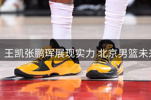 王凯张鹏珲展现实力 北京男篮未来可期